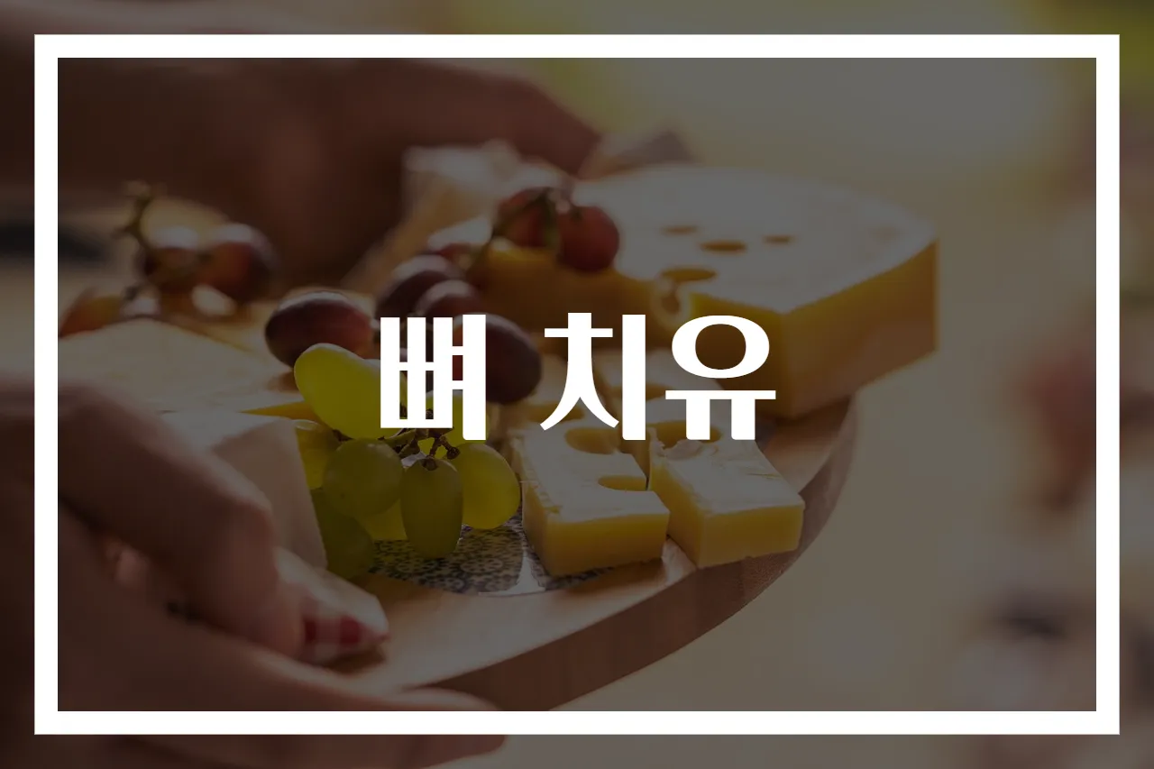 뼈 치유