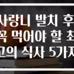 사랑니 발치 후! 꼭 먹어야 할 최고의 식사 5가지