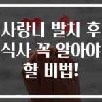 사랑니 발치 후 식사 꼭 알아야 할 비법!
