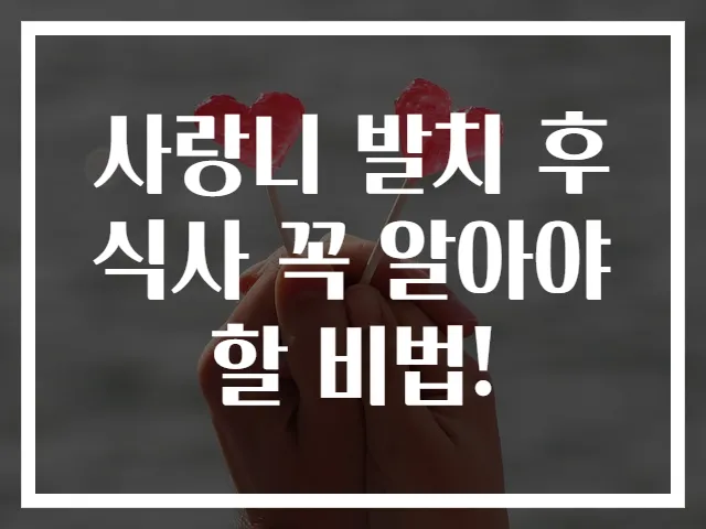 사랑니 발치 후 식사 꼭 알아야 할 비법!