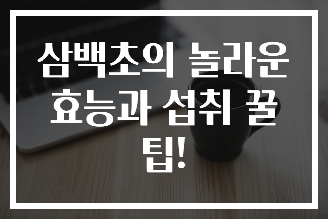 삼백초의 놀라운 효능과 섭취 꿀팁!