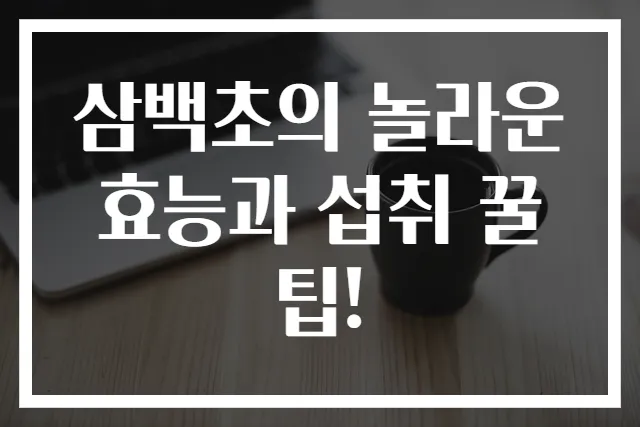 삼백초의 놀라운 효능과 섭취 꿀팁!