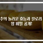상추의 놀라운 효능과 칼로리 영양 비밀 공개!