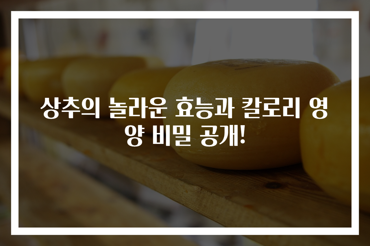 상추의 놀라운 효능과 칼로리 영양 비밀 공개!