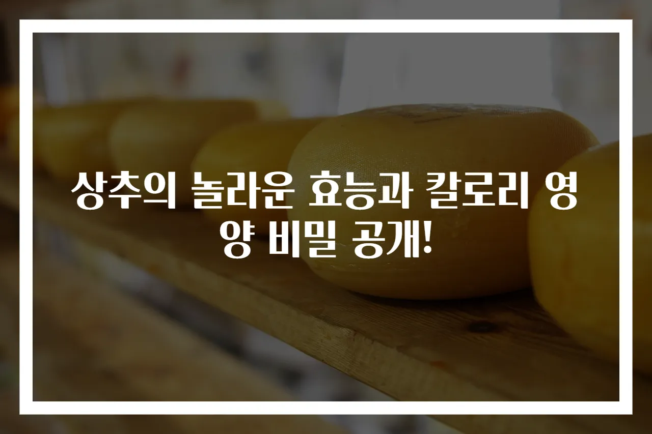 상추의 놀라운 효능과 칼로리 영양 비밀 공개!