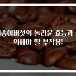 새송이버섯의 놀라운 효능과 주의해야 할 부작용!