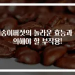새송이버섯의 놀라운 효능과 주의해야 할 부작용!