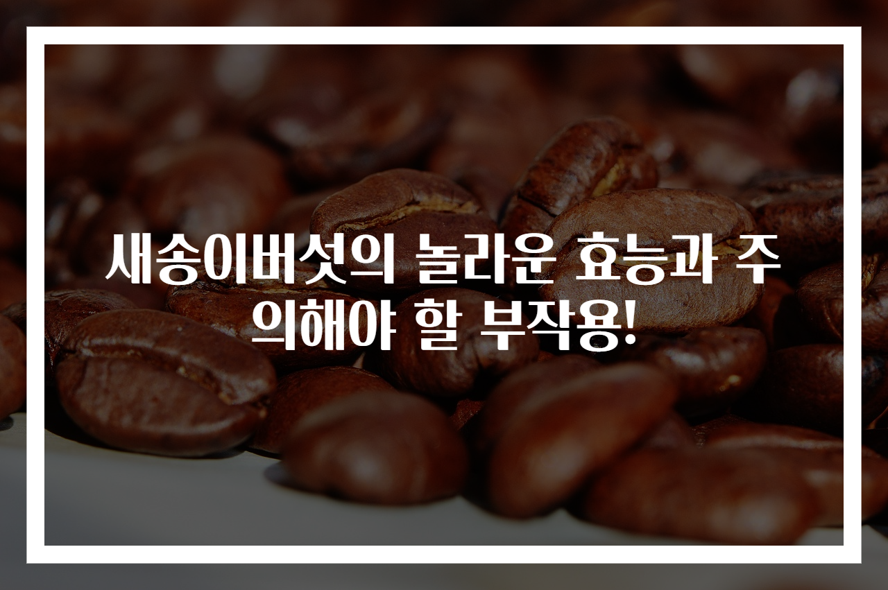 새송이버섯의 놀라운 효능과 주의해야 할 부작용!