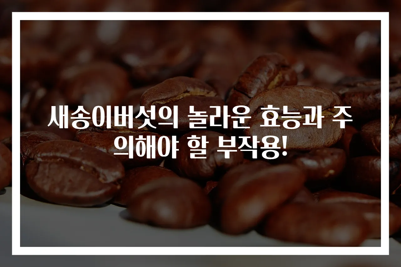 새송이버섯의 놀라운 효능과 주의해야 할 부작용!