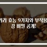 샐러리 효능 9가지와 부작용 건강 비밀 공개!