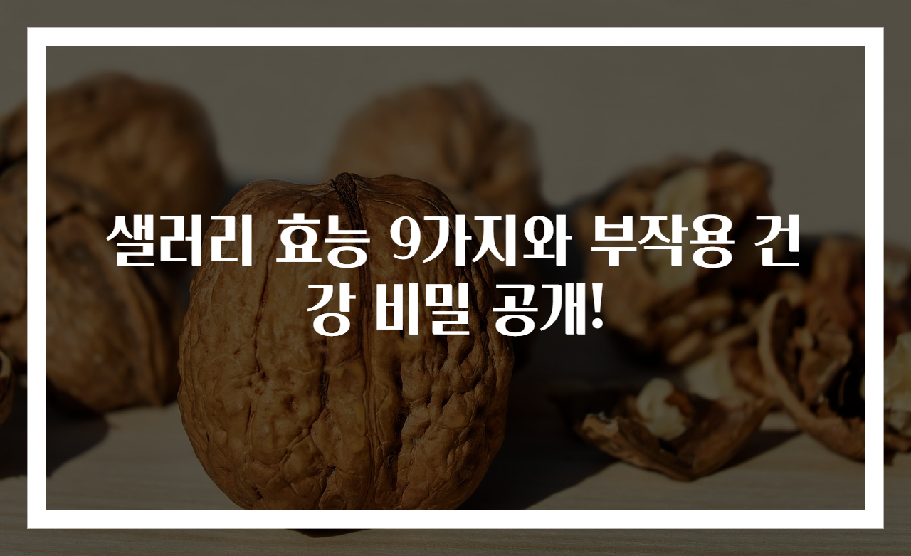 샐러리 효능 9가지와 부작용 건강 비밀 공개!