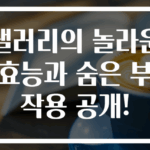 샐러리의 놀라운 효능과 숨은 부작용 공개!