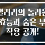 샐러리의 놀라운 효능과 숨은 부작용 공개!