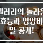 샐러리의 놀라운 효능과 영양비밀 공개!