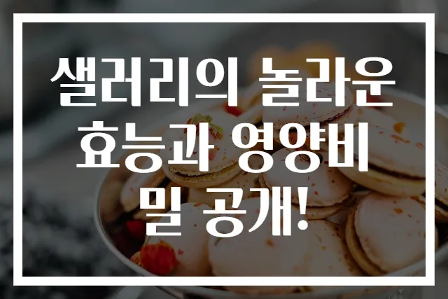 샐러리의 놀라운 효능과 영양비밀 공개!