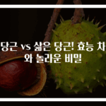 생당근 vs 삶은 당근! 효능 차이와 놀라운 비밀