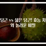 생당근 vs 삶은 당근! 효능 차이와 놀라운 비밀