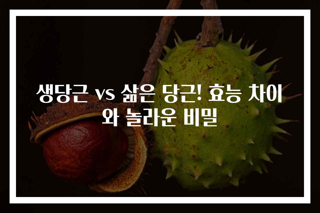 생당근 vs 삶은 당근! 효능 차이와 놀라운 비밀