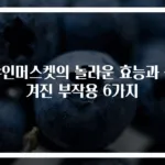 샤인머스켓의 놀라운 효능과 숨겨진 부작용 6가지