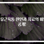 섬유근육통 원인과 치료의 비밀 공개!