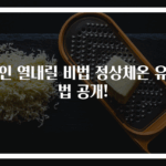 성인 열내릴 비법 정상체온 유지법 공개!