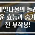 세발나물의 놀라운 효능과 숨겨진 부작용!