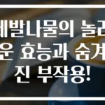 세발나물의 놀라운 효능과 숨겨진 부작용!