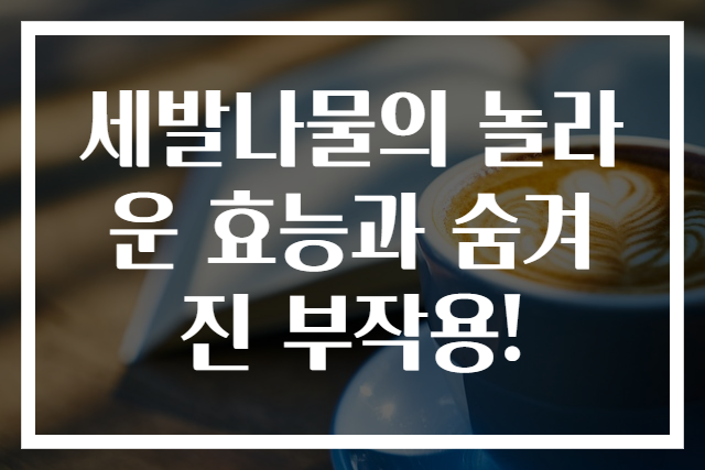 세발나물의 놀라운 효능과 숨겨진 부작용!