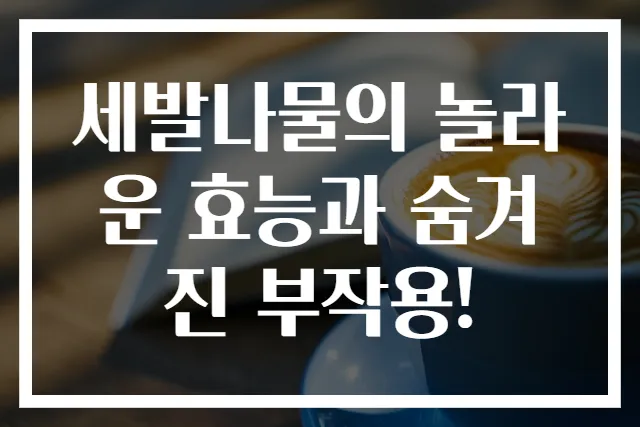 세발나물의 놀라운 효능과 숨겨진 부작용!