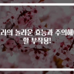 소라의 놀라운 효능과 주의해야 할 부작용!
