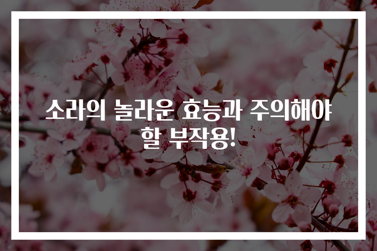 소라의 놀라운 효능과 주의해야 할 부작용!