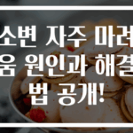 소변 자주 마려움 원인과 해결법 공개!