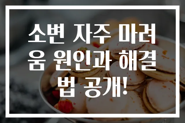 소변 자주 마려움 원인과 해결법 공개!