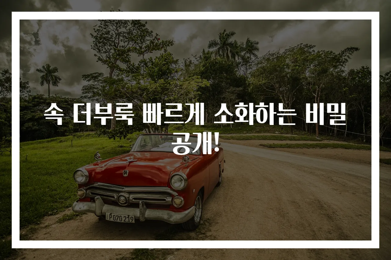 속 더부룩 빠르게 소화하는 비밀 공개!