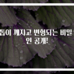 손톱이 깨지고 변형되는 비밀 원인 공개!