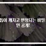 손톱이 깨지고 변형되는 비밀 원인 공개!
