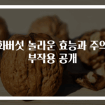 송화버섯 놀라운 효능과 주의할 부작용 공개