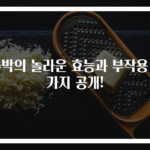 수박의 놀라운 효능과 부작용 9가지 공개!
