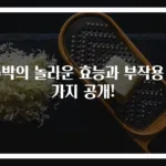 수박의 놀라운 효능과 부작용 9가지 공개!