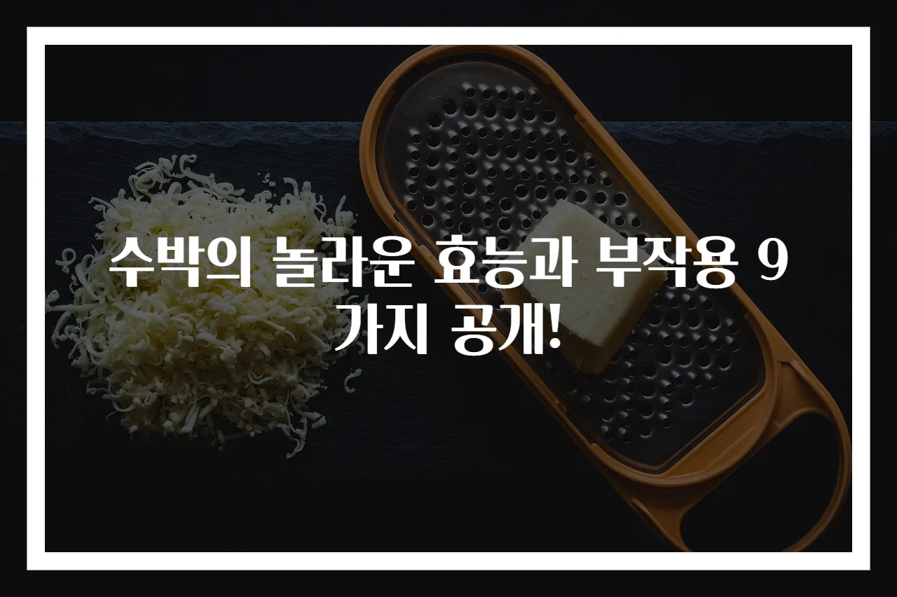 수박의 놀라운 효능과 부작용 9가지 공개!