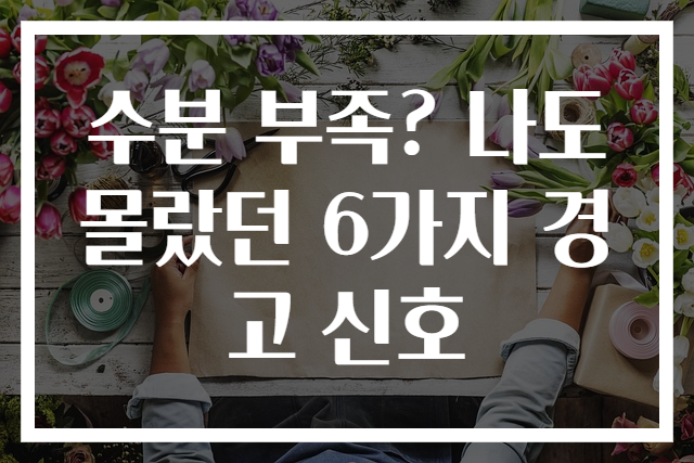 수분 부족? 나도 몰랐던 6가지 경고 신호