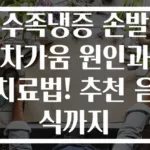 수족냉증 손발 차가움 원인과 치료법! 추천 음식까지