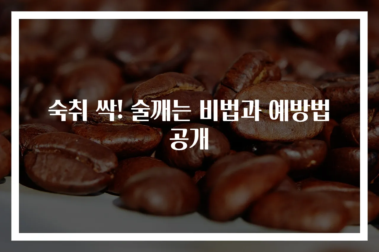 숙취 싹! 술깨는 비법과 예방법 공개