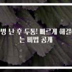 술병 난 후 두통! 빠르게 해결하는 비법 공개