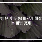 술병 난 후 두통! 빠르게 해결하는 비법 공개