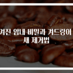 숨겨진 암내 비밀과 겨드랑이 냄새 제거법