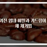 숨겨진 암내 비밀과 겨드랑이 냄새 제거법