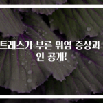 스트레스가 부른 위염 증상과 원인 공개!