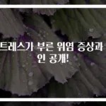 스트레스가 부른 위염 증상과 원인 공개!