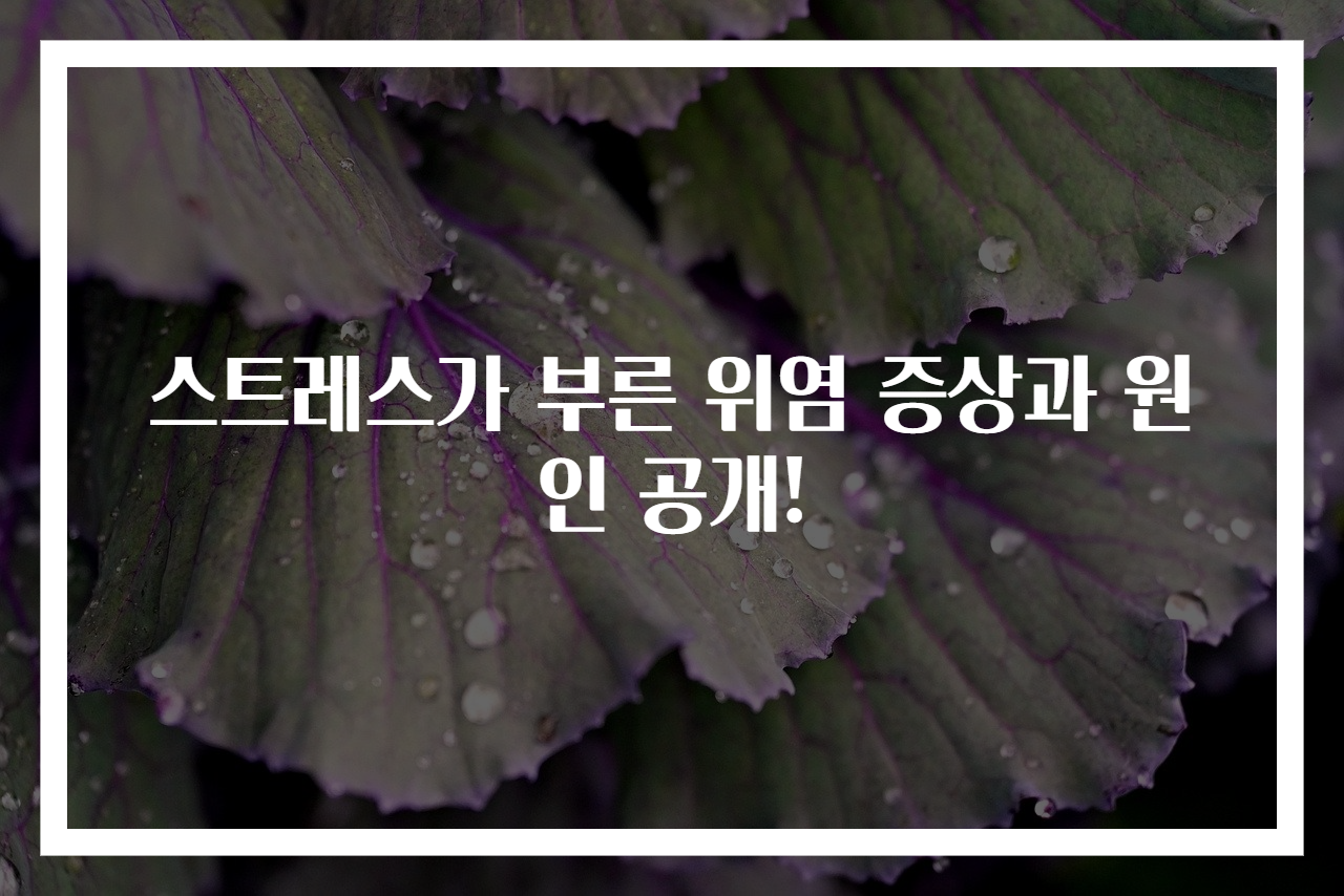 스트레스가 부른 위염 증상과 원인 공개!